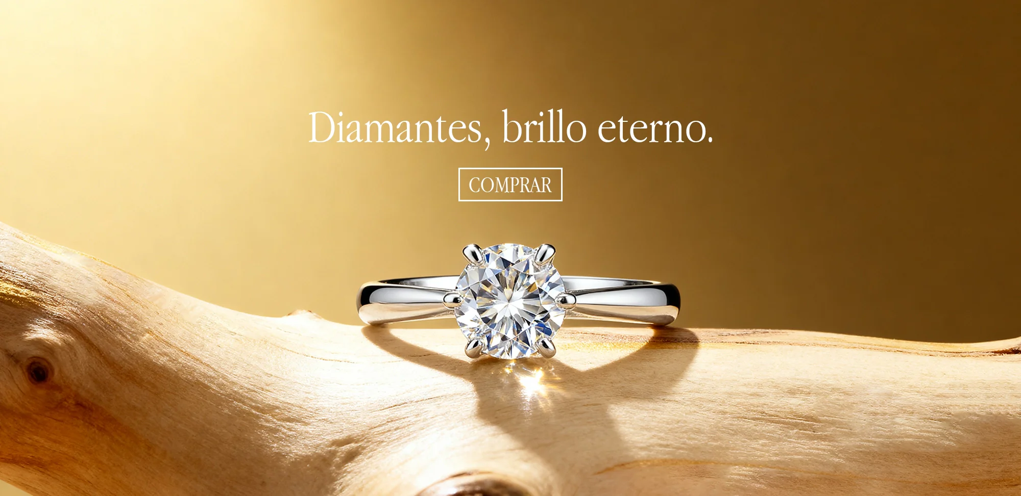 Elegancia Eterna en Cada Detalle